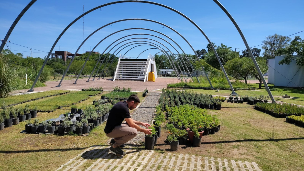 EJE AMBIENTAL Y SOSTENIBILIDAD